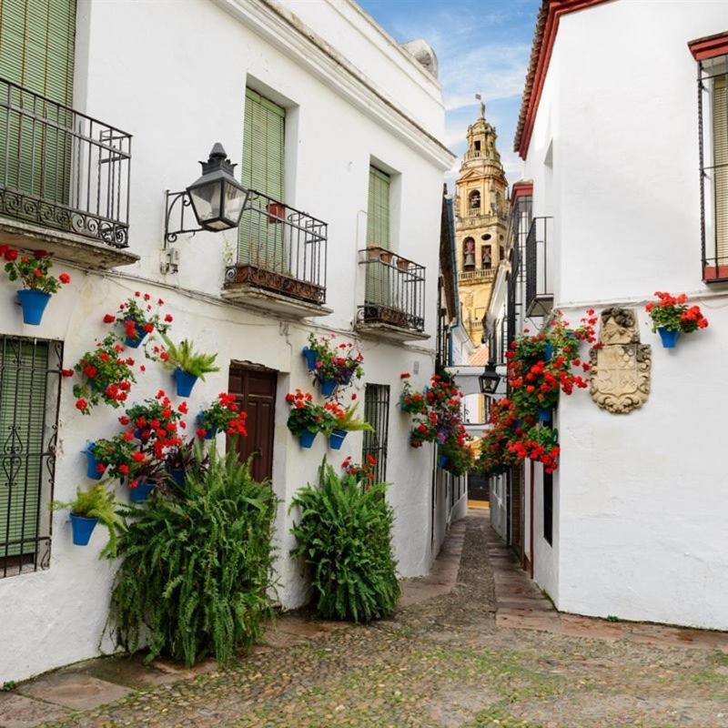 科爾多瓦El Patio De San Miguel公寓 外观 照片